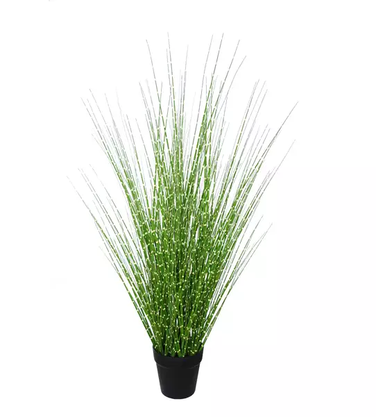 Zebra Grass w Pot 80 cm Green 5679GRN (1)