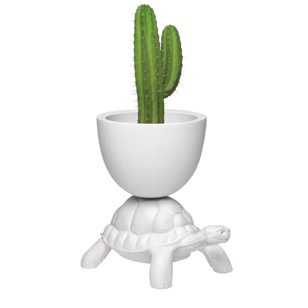 03c-qeeboo-piero-fasanotto-michele-branca-turtle-carry-planter-design-marcantonio-white