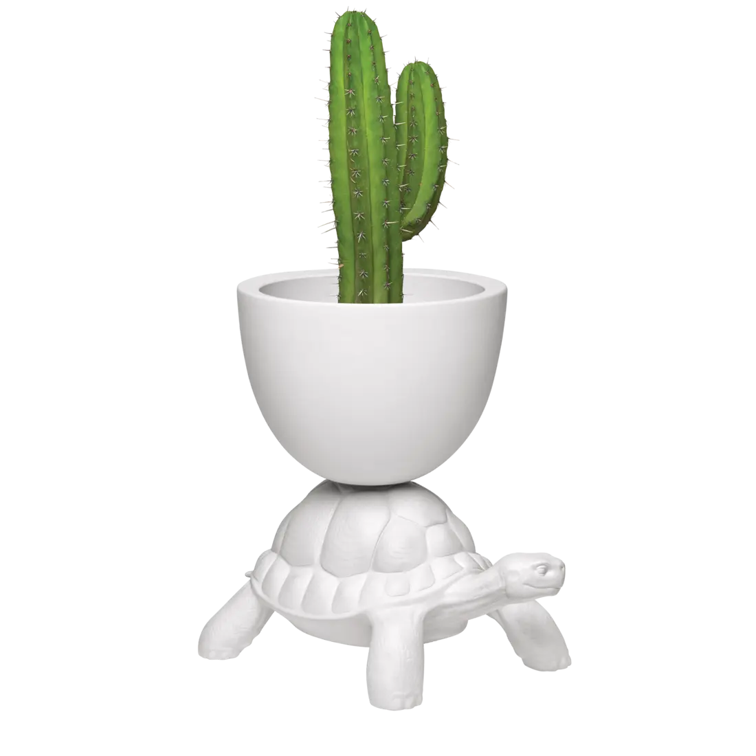 03c-qeeboo-piero-fasanotto-michele-branca-turtle-carry-planter-design-marcantonio-white