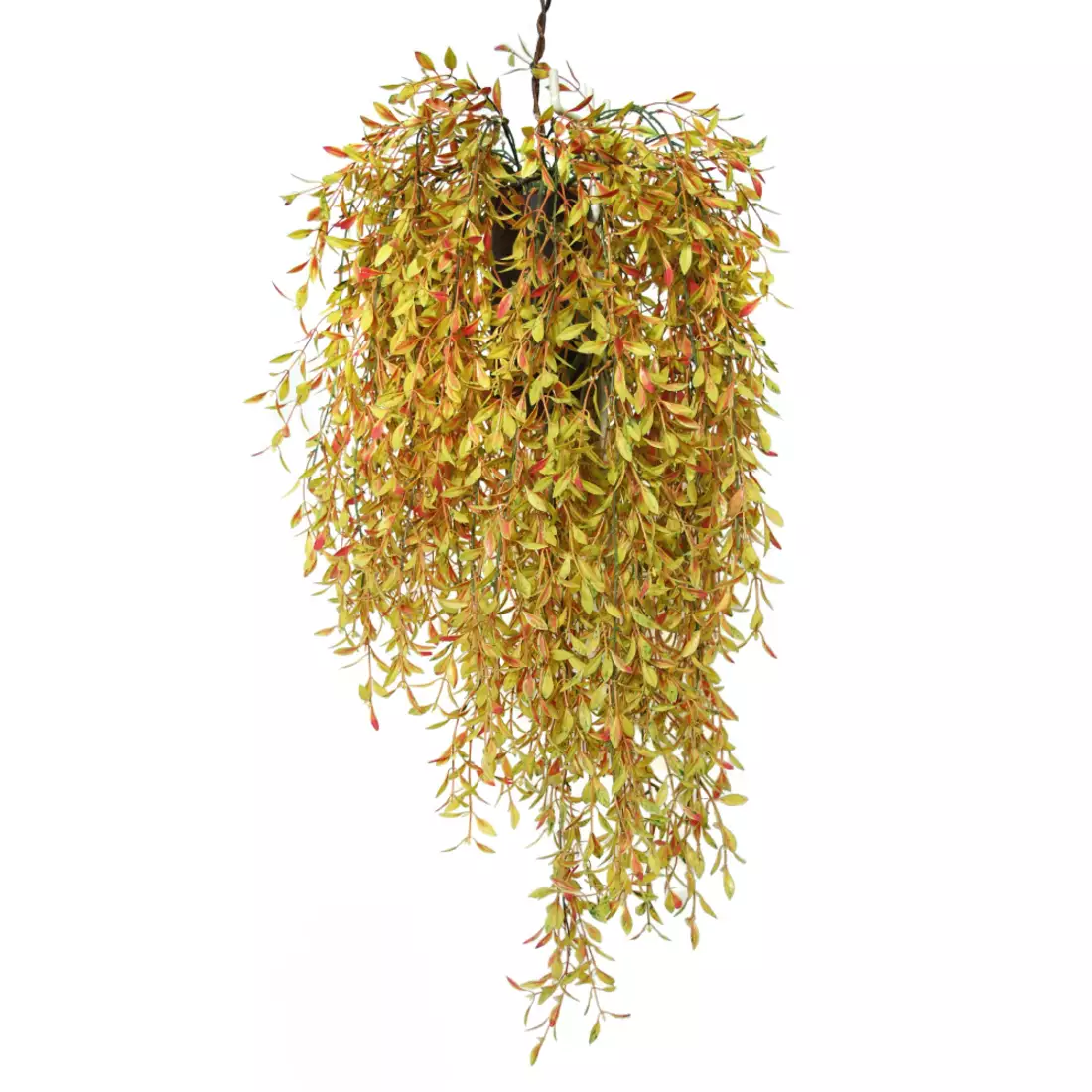 Hanging Willow  70 cm Multicolor   5595001