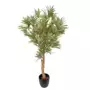 Rostlina Dracaena Reflexa Topiary 150 cm Variegated 4009A40