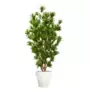 Rostlina Dracaena Reflexa Boschetto 220 cm Green 4008A06