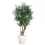Olive Malabar 150 cm Green 1085001