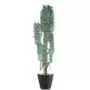 Strom Eucalypthus Hanging Step Tree 210 cm Silver 5634S01