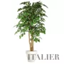 Strom-Beech Florida-Topiary-200-cm-Variegated-1080V06