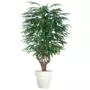 Longifolia Mini Malabar 180 cm Green 1089005