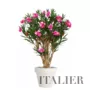 Oleander Robusta 170 cm Pink 1079002