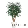 Myrsifolia Malabar 150 cm Green 1068010