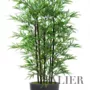 Bamboo Black Arrangement x 5 170 cm Green V1617001