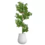 Rostlina Gynkgo Multistep 180 cm Green 1087009
