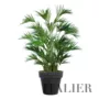 Kentia Palm Lux x 4 240 cm Green 4533004