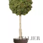 Boxwood Mini Topiary Ø 55 h 140 cm Green V5639003