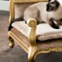 Imperial-bed-for-pets-luxury-lifestyle-Bella-Vita-collection-Modenese-Gastone - kopie