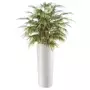 Rostlina-Bamboo-Japanese-Bush-140-cm-Variegated-1054V02