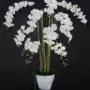 Orchid Phalaenopsis Fiber Pot 160 cm White 5683WHT (1)