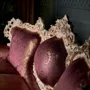 Handmade-sofa-padding-with-luxury-embroidery-Villa-Venezia-collection-Modenese-Gastone