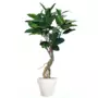 Rostlina Ficus Elastica Plant 150 cm Green 5426003
