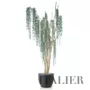Rostlina Eucalypthus Florida 220 cm Silver 5634S02