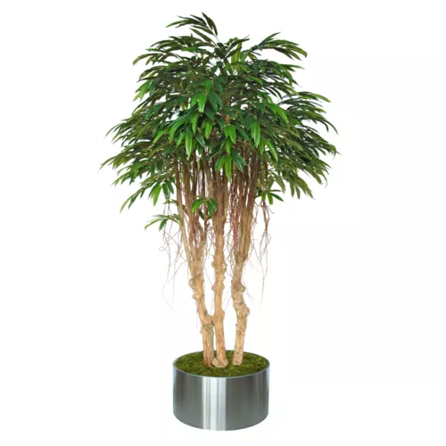 Longifolia Mini 3D Tree 220 CM Green 1089029