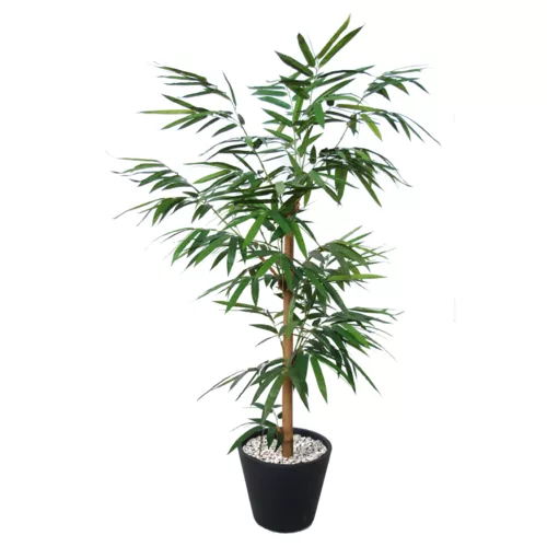 Strom-Bamboo-Giant-Single-Tree-180-cm-Green-1045001