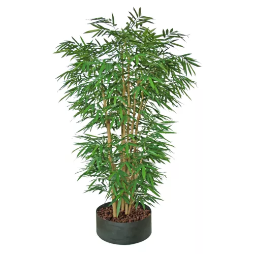 Bamboo-Giant-Boschetto-260-cm-Green-1045003