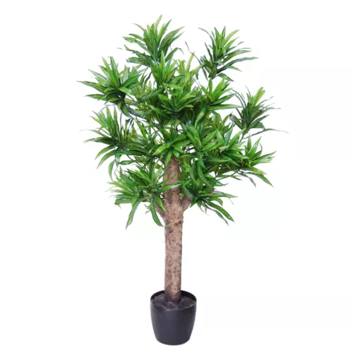 Rostlina Dracaena Reflexa Plant 120 cm Green 4008A33