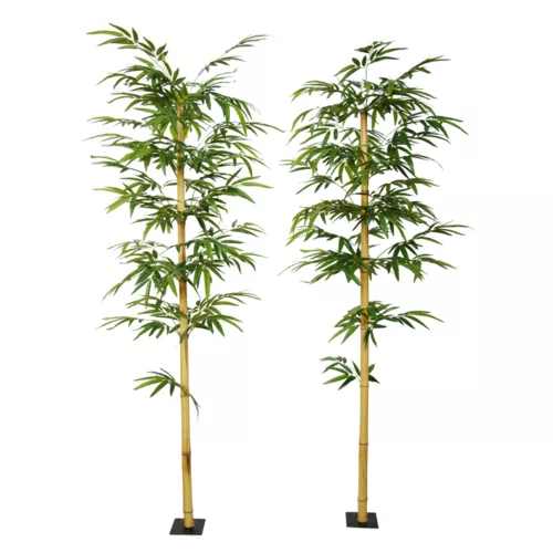 Bamboo-Medium-Single-Tree-220-cm-Green-1074011