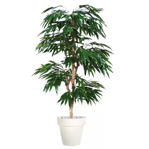 Longifolia Multistep 180 cm Green 1058008