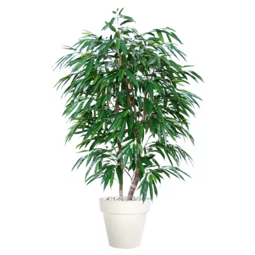 Longifolia Natural Style 180 cm Green 1058011
