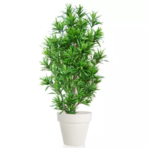 Rostlina Dracaena Reflexa Multistep 180 cm Green 4008A15