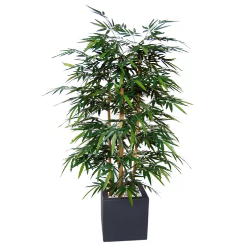 Strom-Bamboo-Wild-Bush-180-cm-Green-1074019
