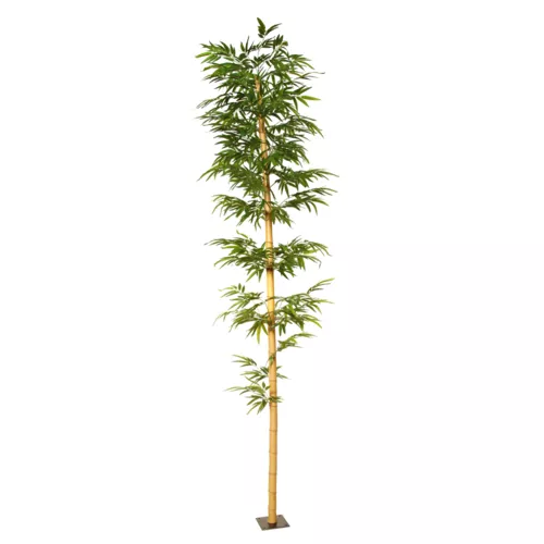 Bamboo-Medium-Single-Tree-350-cm-Green-1074013